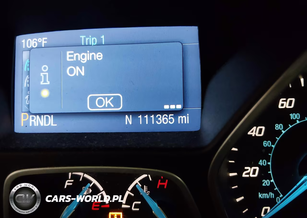 2014 Ford Focus Se VIN:1FADP3F26EL333791 - 15