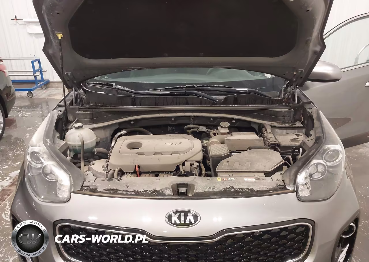 2019 Kia Sportage Lx VIN:KNDPMCAC7K7536502 - 10