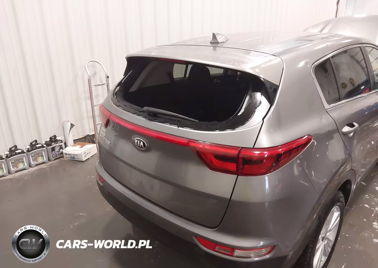 2019 Kia Sportage Lx VIN:KNDPMCAC7K7536502 - 18