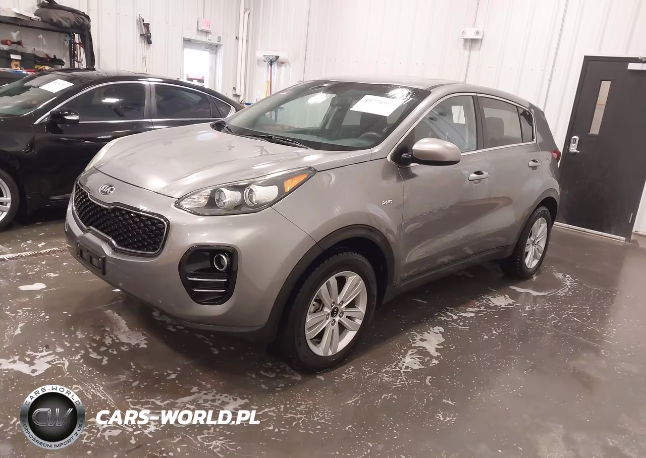 2019 Kia Sportage Lx VIN:KNDPMCAC7K7536502 - 2