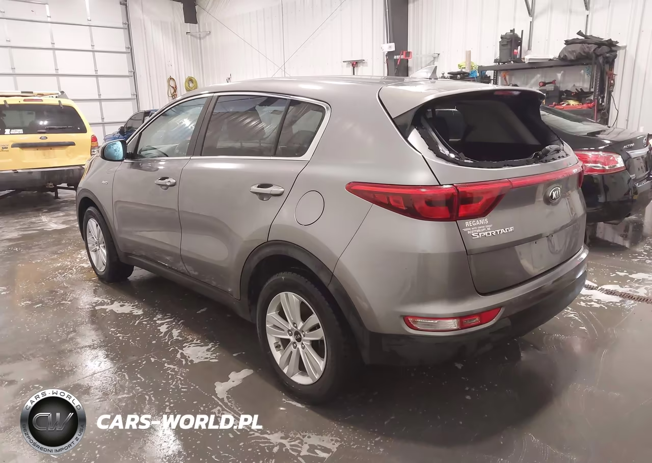 2019 Kia Sportage Lx VIN:KNDPMCAC7K7536502 - 3