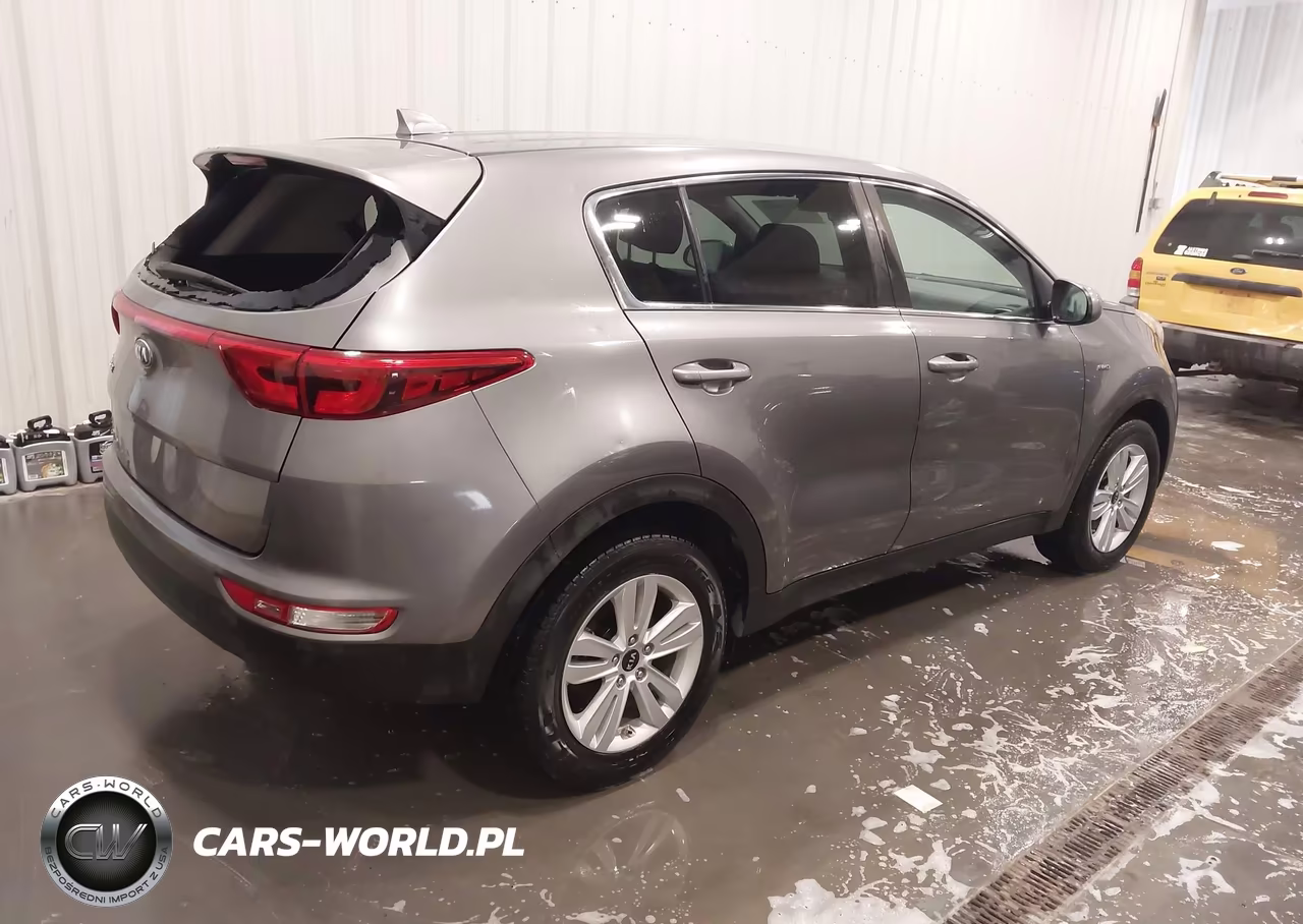 2019 Kia Sportage Lx VIN:KNDPMCAC7K7536502 - 4
