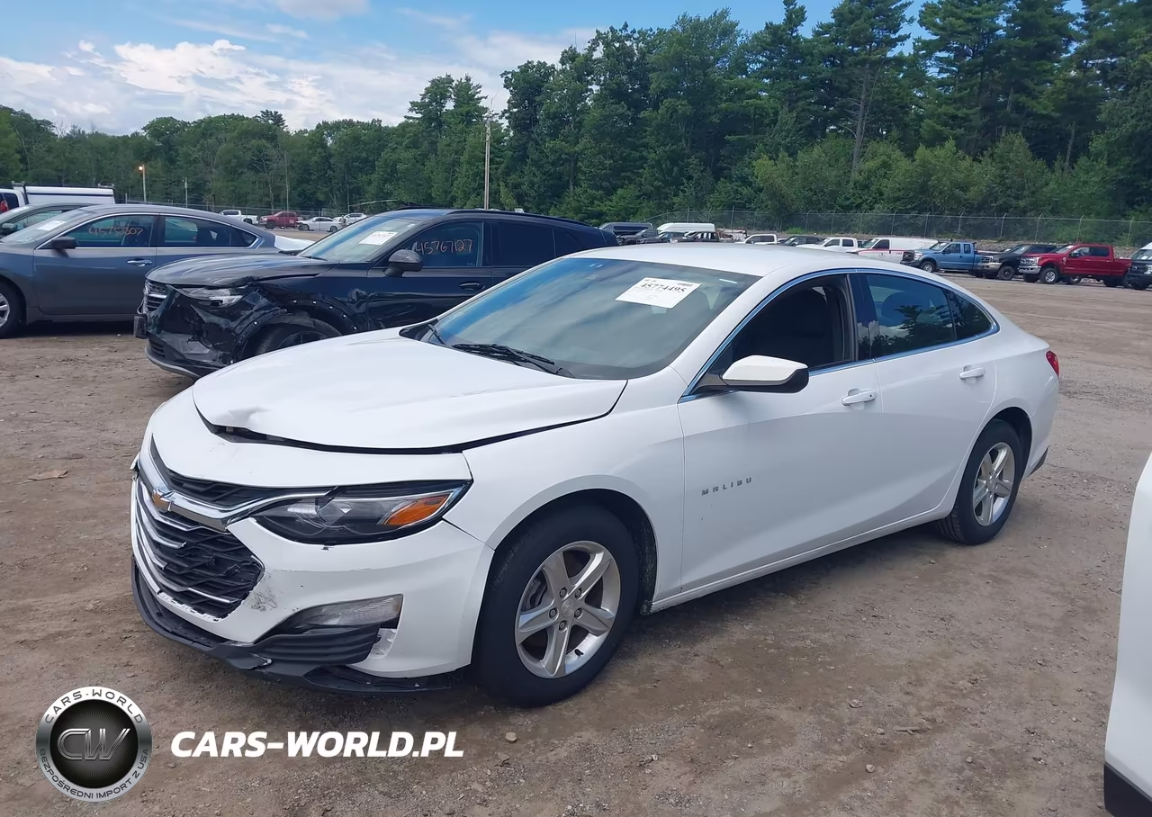 2023 Chevrolet Malibu Fwd 1Lt VIN:1G1ZD5STXPF214493 - 2