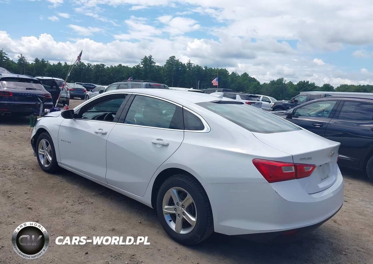 2023 Chevrolet Malibu Fwd 1Lt VIN:1G1ZD5STXPF214493 - 3