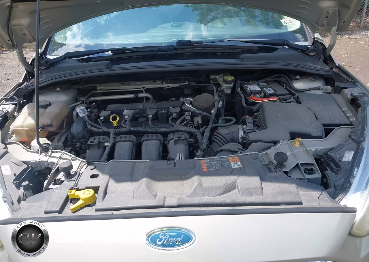 2015 Ford Focus Se VIN:1FADP3F27FL317049 - 10
