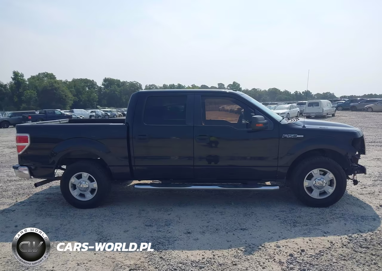 2010 Ford F-150 Fx2 Sport-Harley-Davidson-King Ranch-Lariat-Platinum-Xl-Xlt VIN:1FTFW1CV5AFA82702 - 13