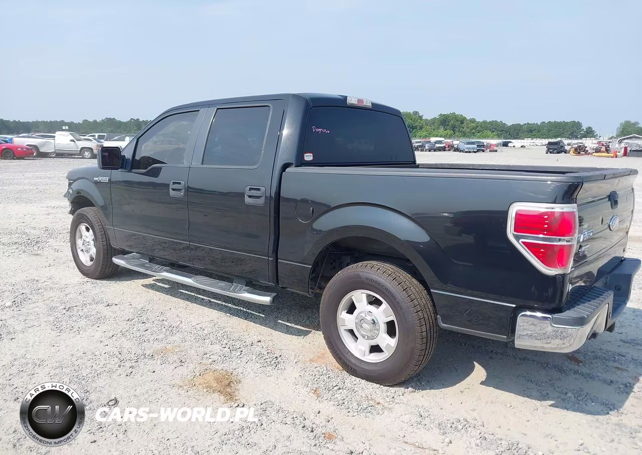 2010 Ford F-150 Fx2 Sport-Harley-Davidson-King Ranch-Lariat-Platinum-Xl-Xlt VIN:1FTFW1CV5AFA82702 - 3