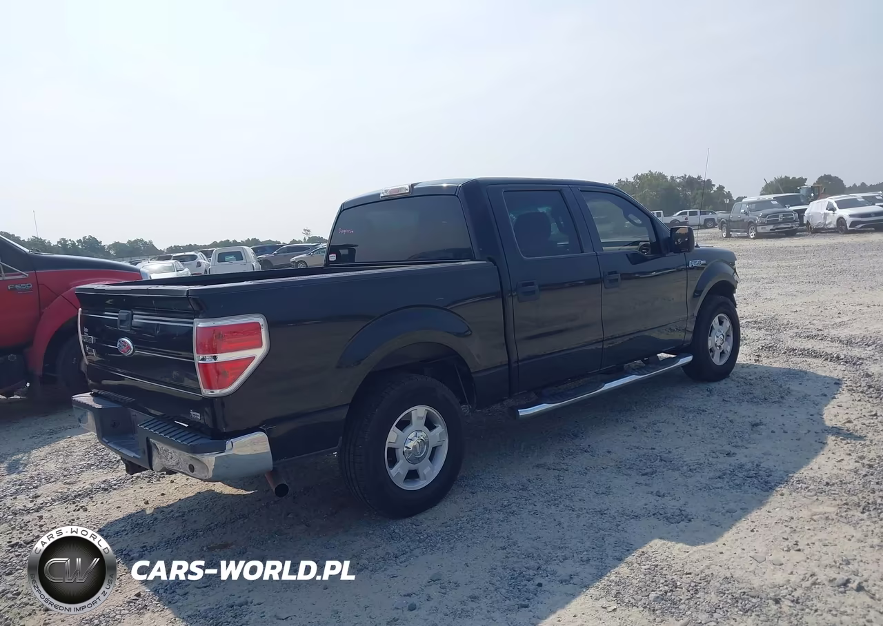 2010 Ford F-150 Fx2 Sport-Harley-Davidson-King Ranch-Lariat-Platinum-Xl-Xlt VIN:1FTFW1CV5AFA82702 - 4