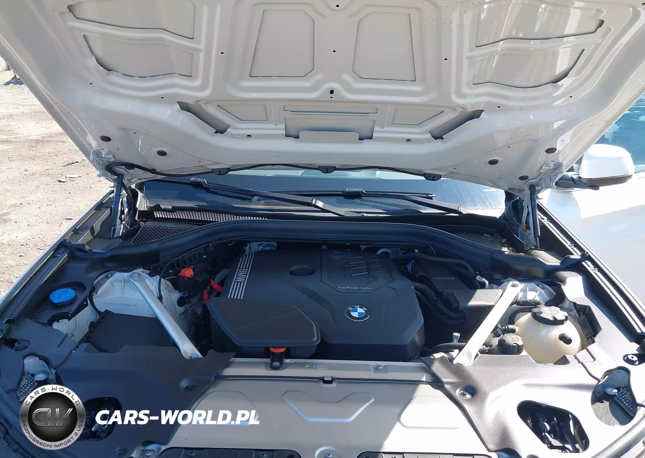 2024 BMW X3 xDrive30I VIN:5UX53DP03R9U96011 - 10