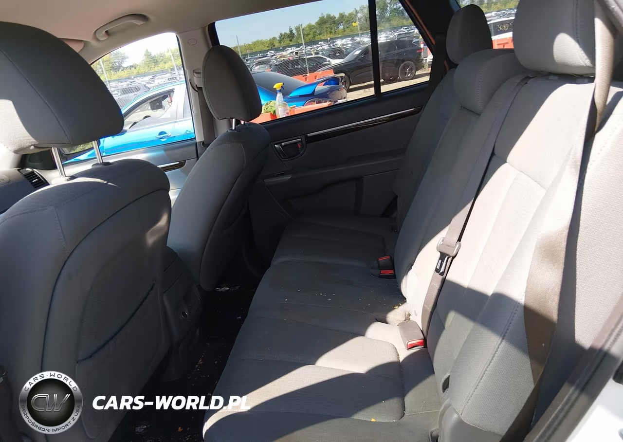 2010 Hyundai Santa Fe Gls VIN:5NMSG3ABXAH412708 - 8