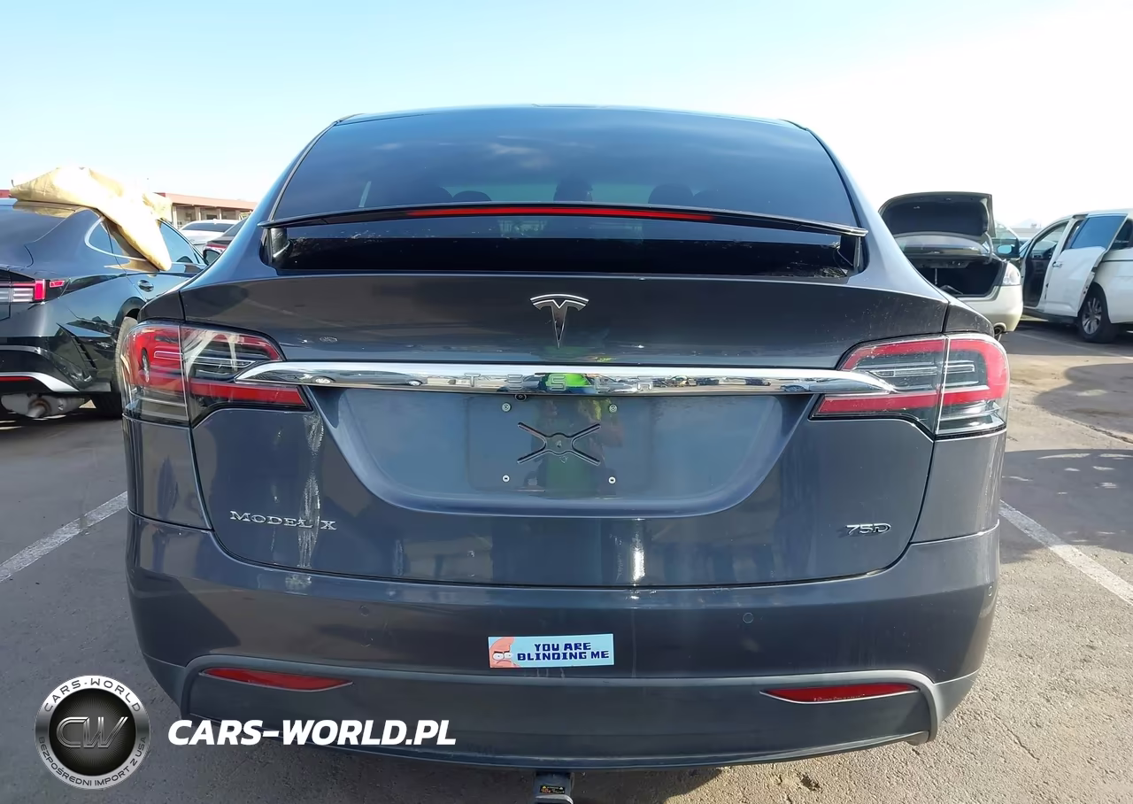 2018 Tesla Model X 100D-75D-P100D VIN:5YJXCDE20JF101355 - 17