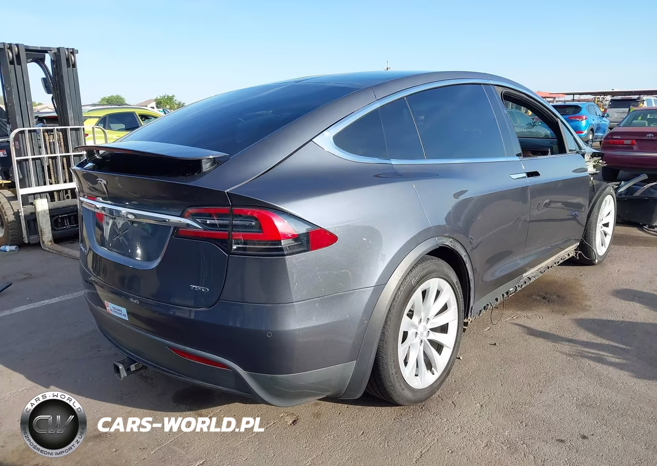 2018 Tesla Model X 100D-75D-P100D VIN:5YJXCDE20JF101355 - 4