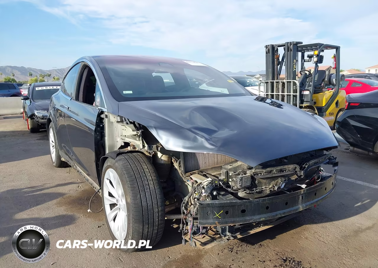 2018 Tesla Model X 100D-75D-P100D VIN:5YJXCDE20JF101355 - 6