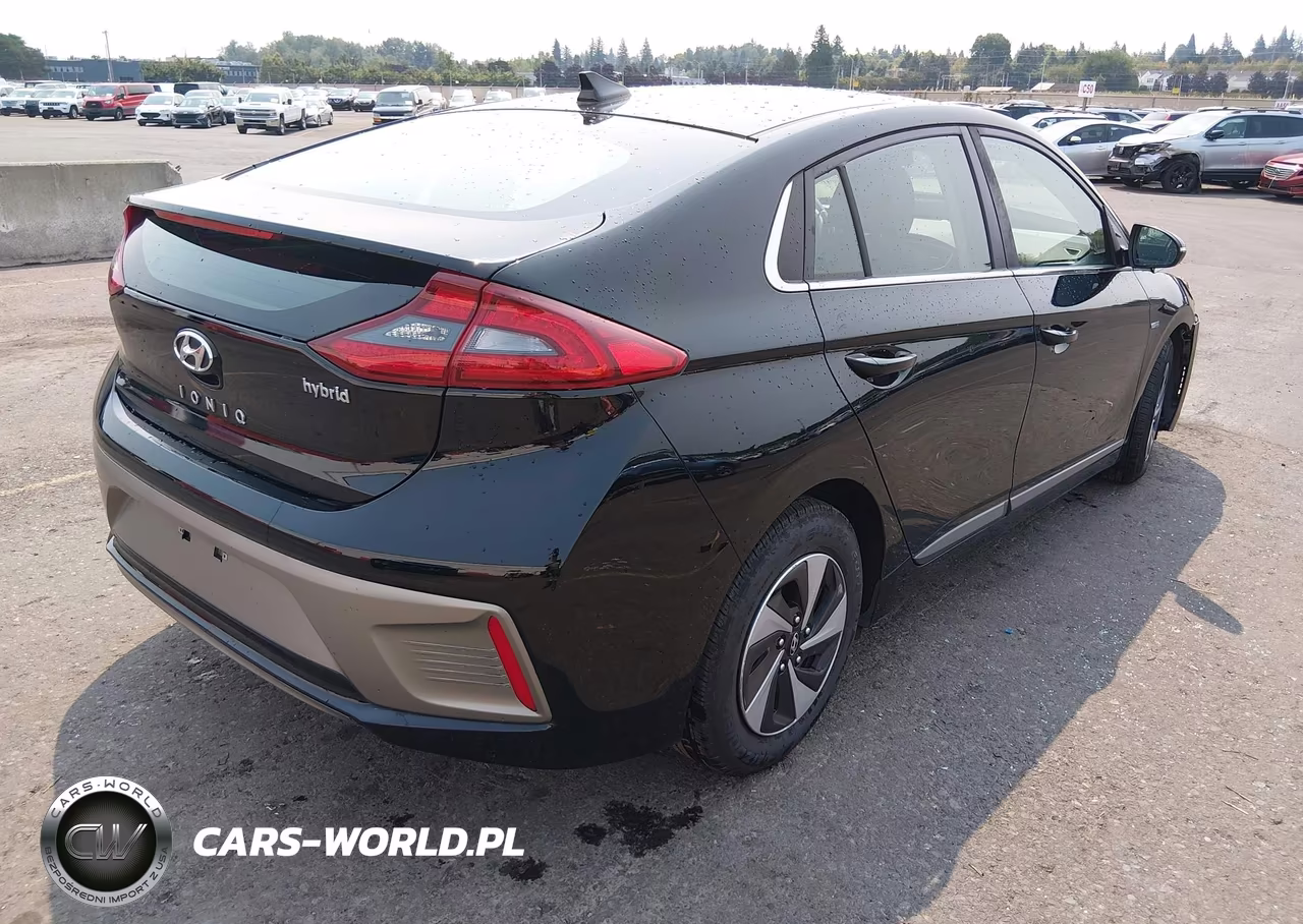 2017 Hyundai Ioniq Hybrid Sel VIN:KMHC75LCXHU049069 - 4