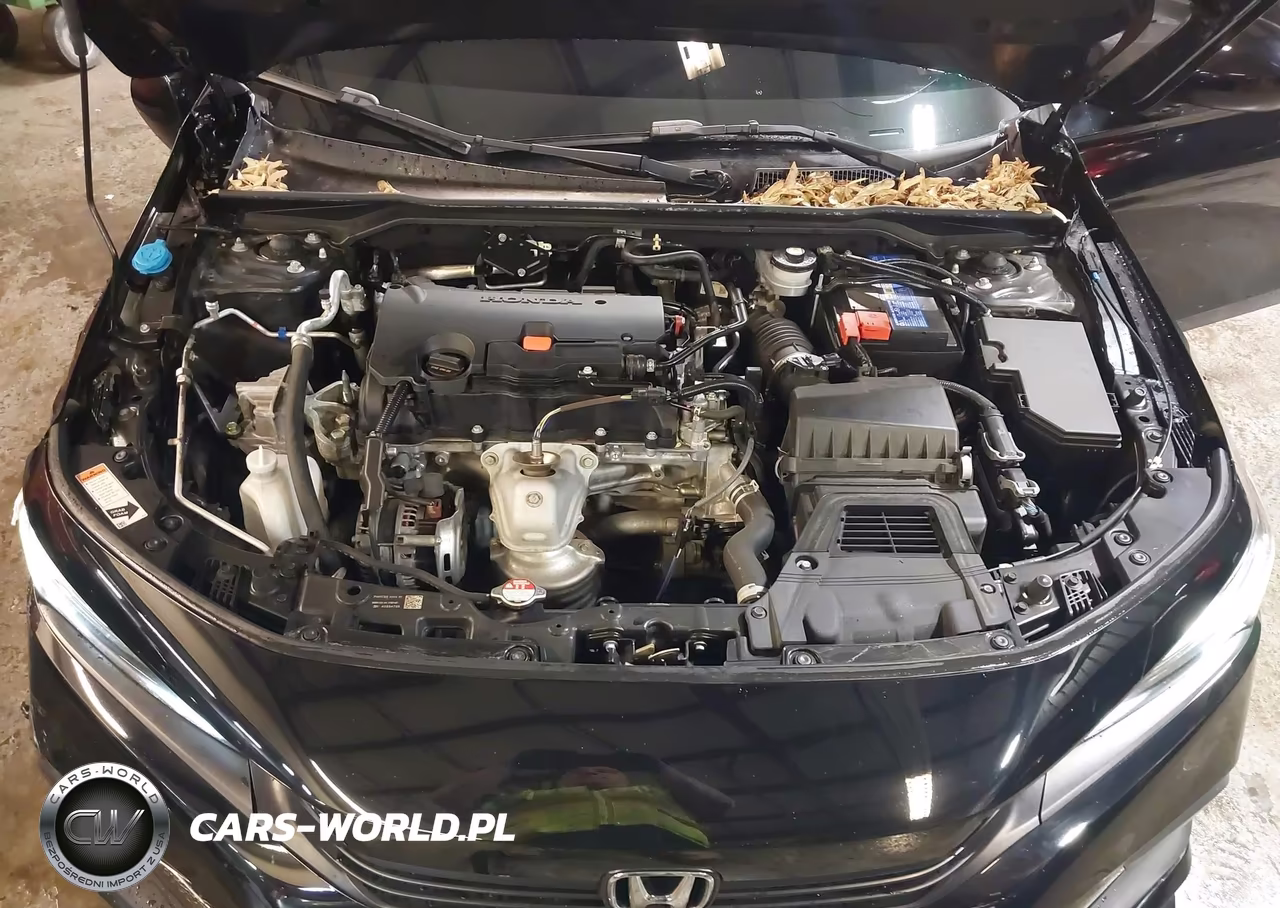 2023 Honda Civic Sport VIN:2HGFE2F59PH525849 - 10