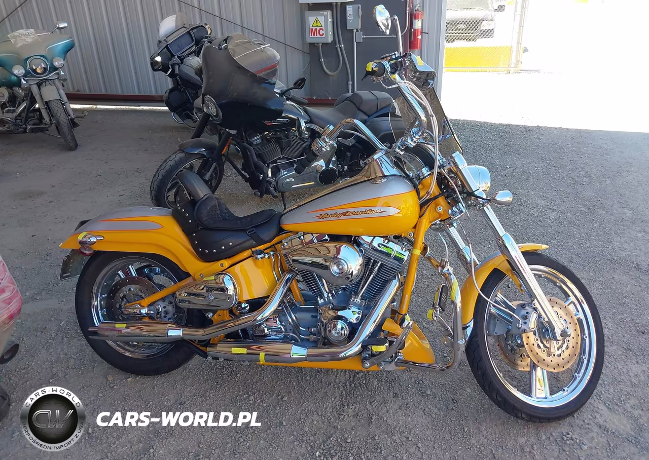 2004 Harley-Davidson Fxstdse2 VIN:1HD1PHD304Y953705 - 12