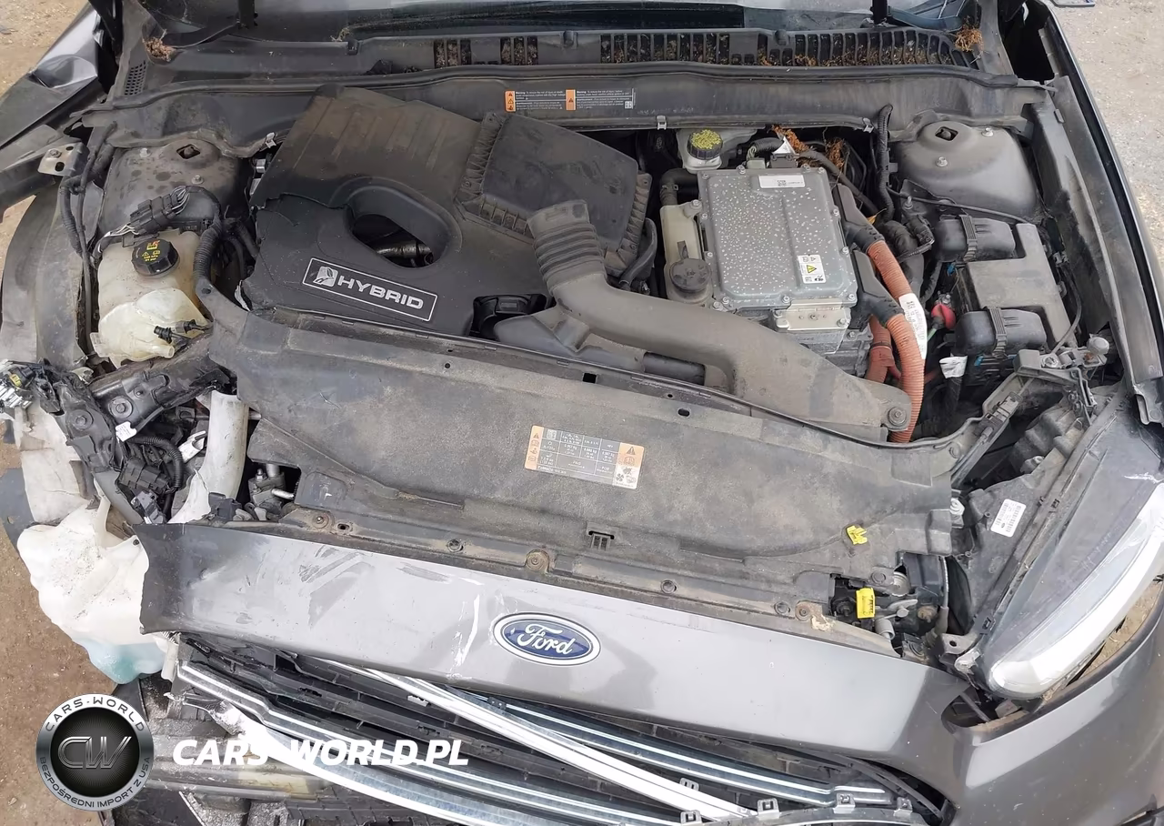 2016 Ford Fusion Hybrid Se VIN:3FA6P0LU5GR389304 - 10
