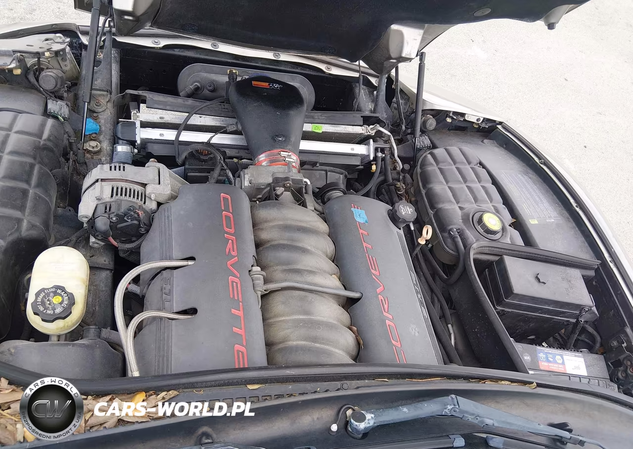 1998 Chevrolet Corvette VIN:1G1YY32G0W5113765 - 10
