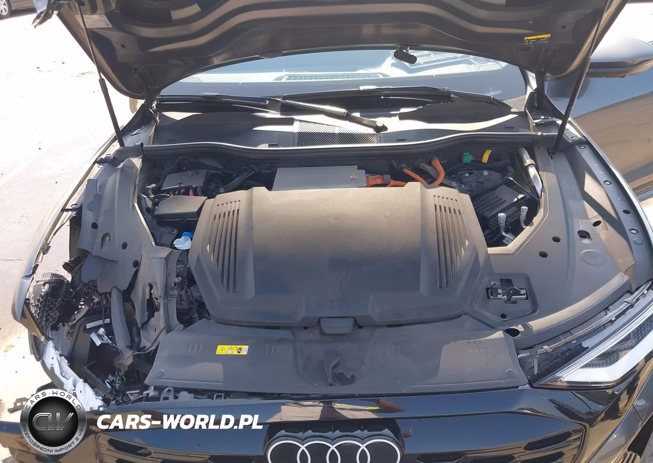 2024 Audi Q8 E-Tron S Line Premium Plus Quattro VIN:WA1CAAGE4RB048789 - 10