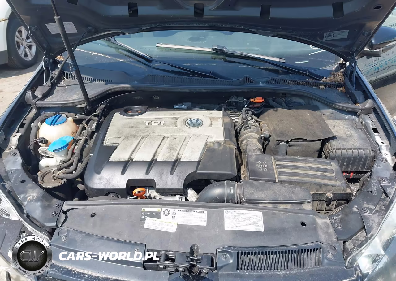 2014 Volkswagen Golf VIN:WVWDM7AJ9EW000203 - 10