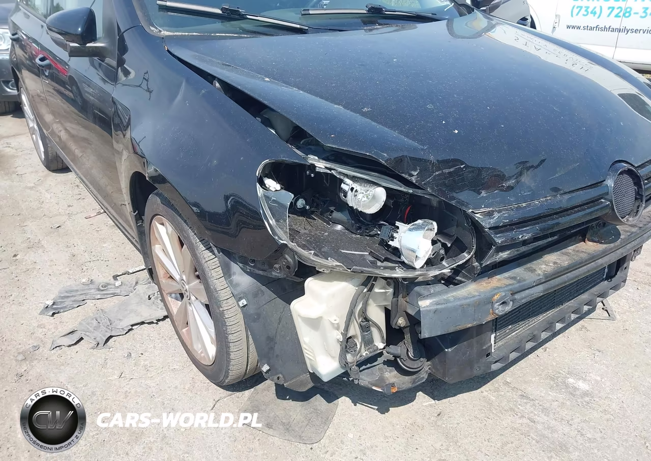 2014 Volkswagen Golf VIN:WVWDM7AJ9EW000203 - 17