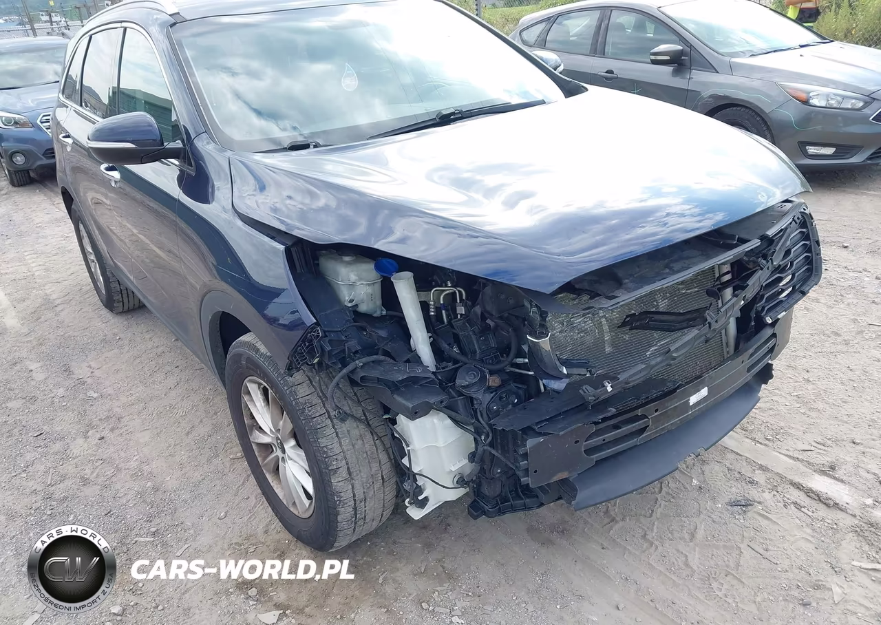 2019 Kia Sorento 2.4L Lx VIN:5XYPG4A37KG597462 - 17