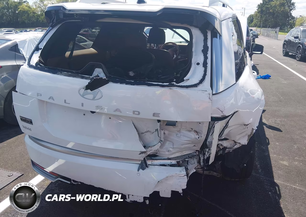 2026 Hyundai Palisade Hev Calligraphy VIN:KM8RMESA5TU098918 - 6