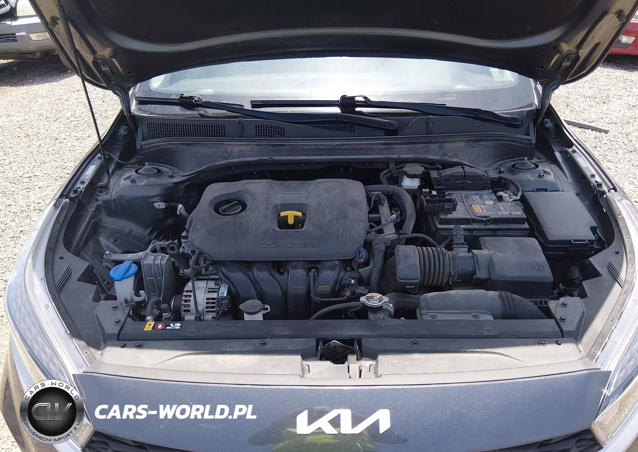 2023 Kia Forte Lxs VIN:3KPF24AD2PE645201 - 10