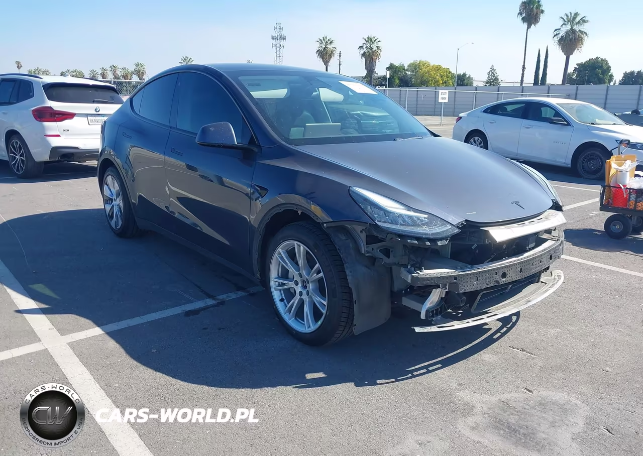 2020 Tesla Model Y Long Range Dual Motor All-Wheel Drive-Performance Dual Motor All-Wheel Drive
