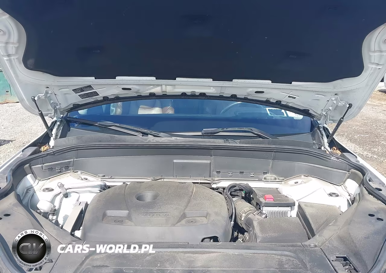 2019 Volvo Xc90 T6 Momentum VIN:YV4A22PK8K1492840 - 10