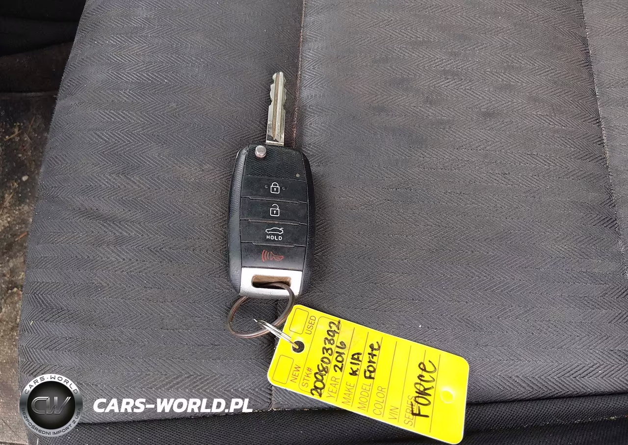 2016 Kia Forte Lx VIN:KNAFK4A65G5616897 - 11
