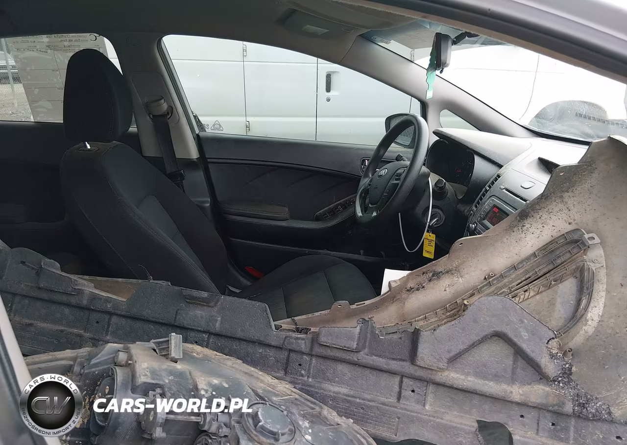 2016 Kia Forte Lx VIN:KNAFK4A65G5616897 - 5