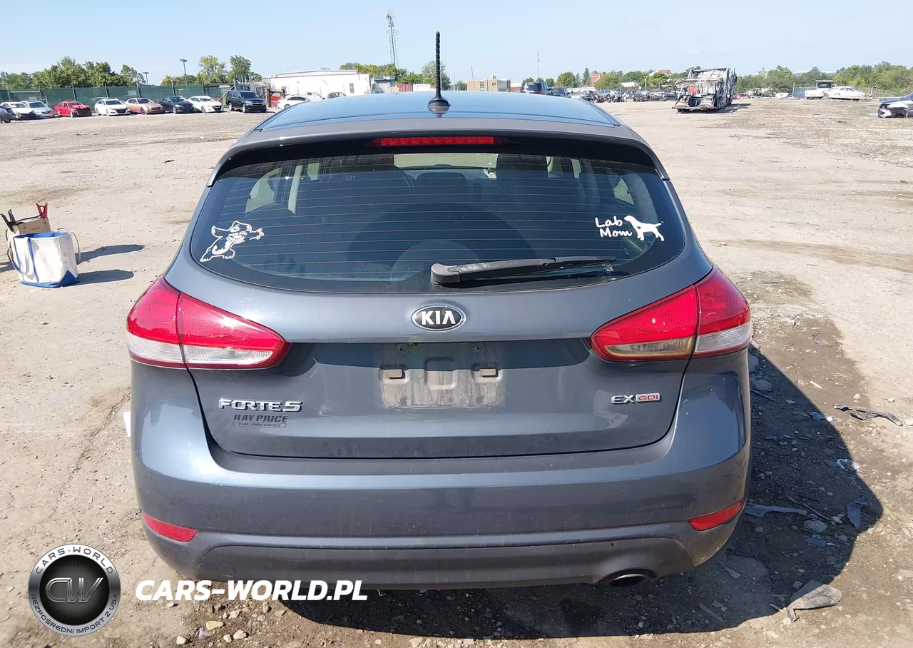 2016 Kia Forte Ex VIN:KNAFX5A8XG5598504 - 16