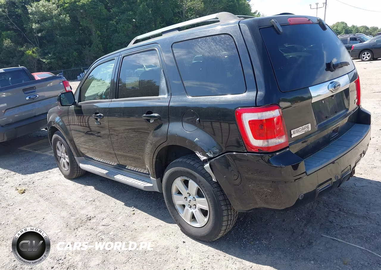 2010 Ford Escape Limited VIN:1FMCU9EG1AKA80549 - 3