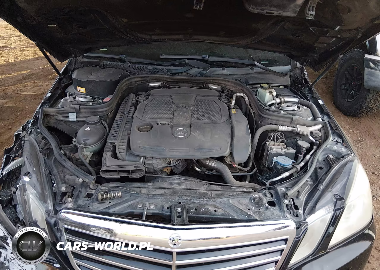 2013 Mercedes-Benz E 350 VIN:WDDHF5KB2DA691924 - 10