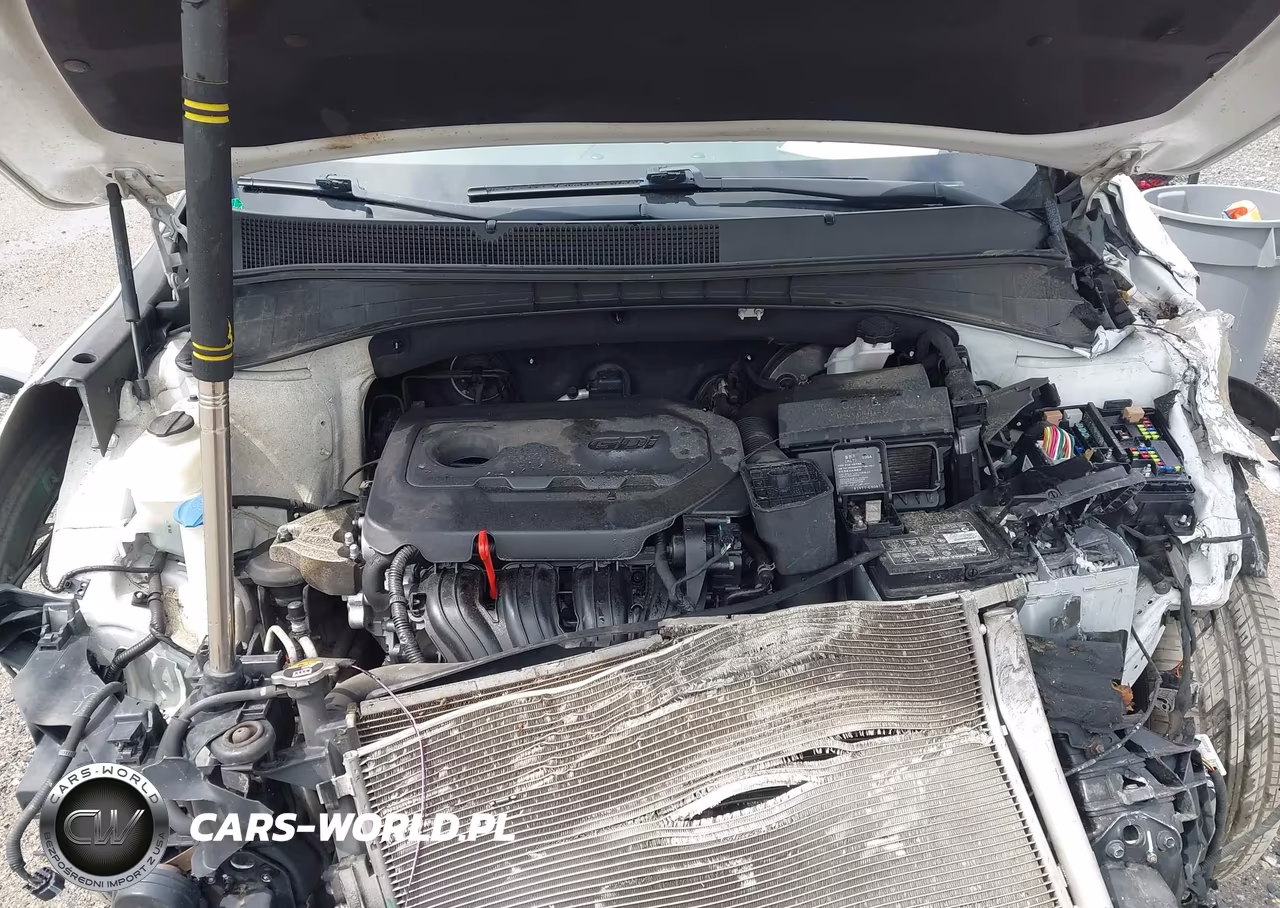 2019 Kia Sorento 2.4L Lx VIN:5XYPG4A32KG553871 - 10