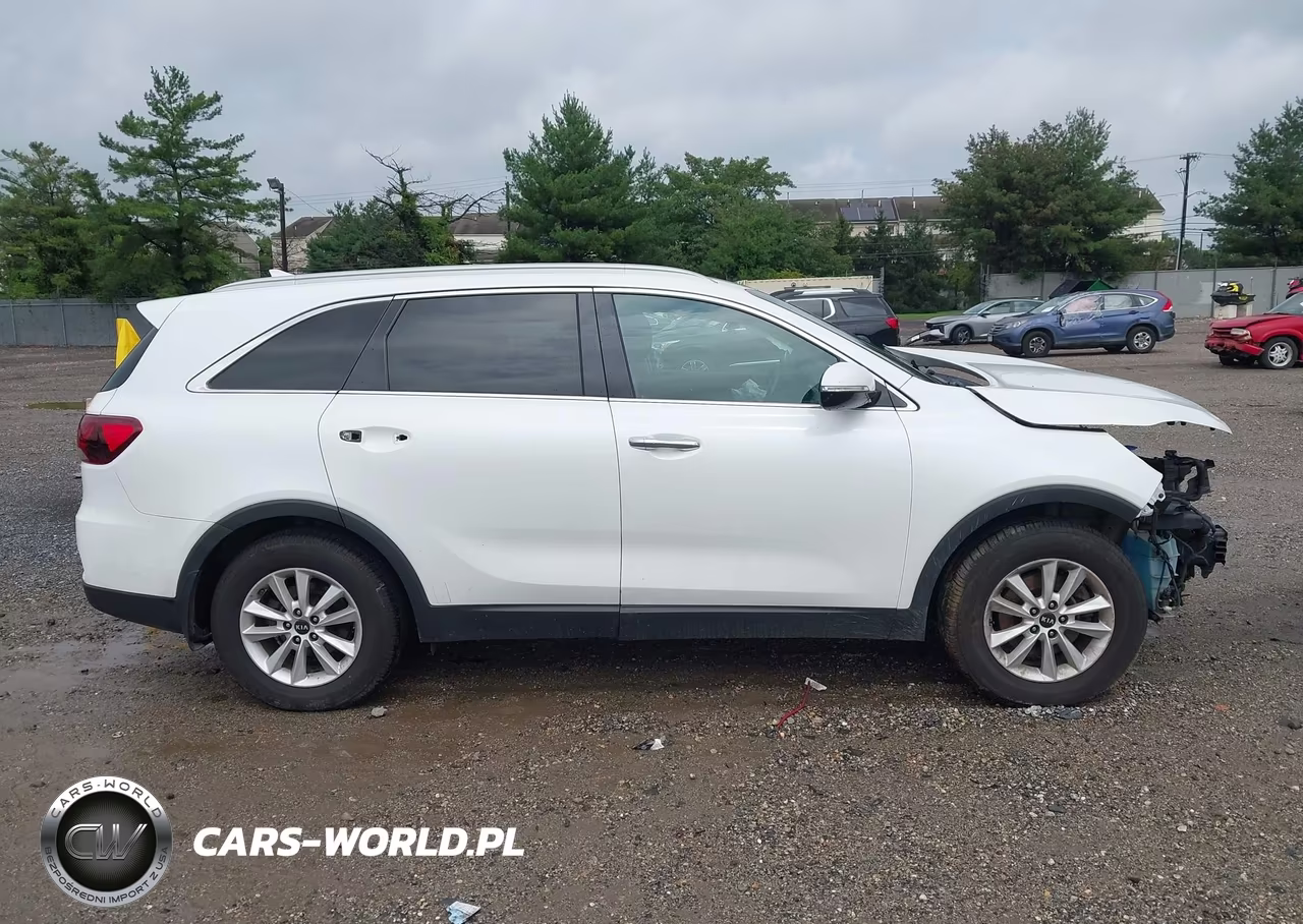 2019 Kia Sorento 2.4L Lx VIN:5XYPG4A32KG553871 - 14
