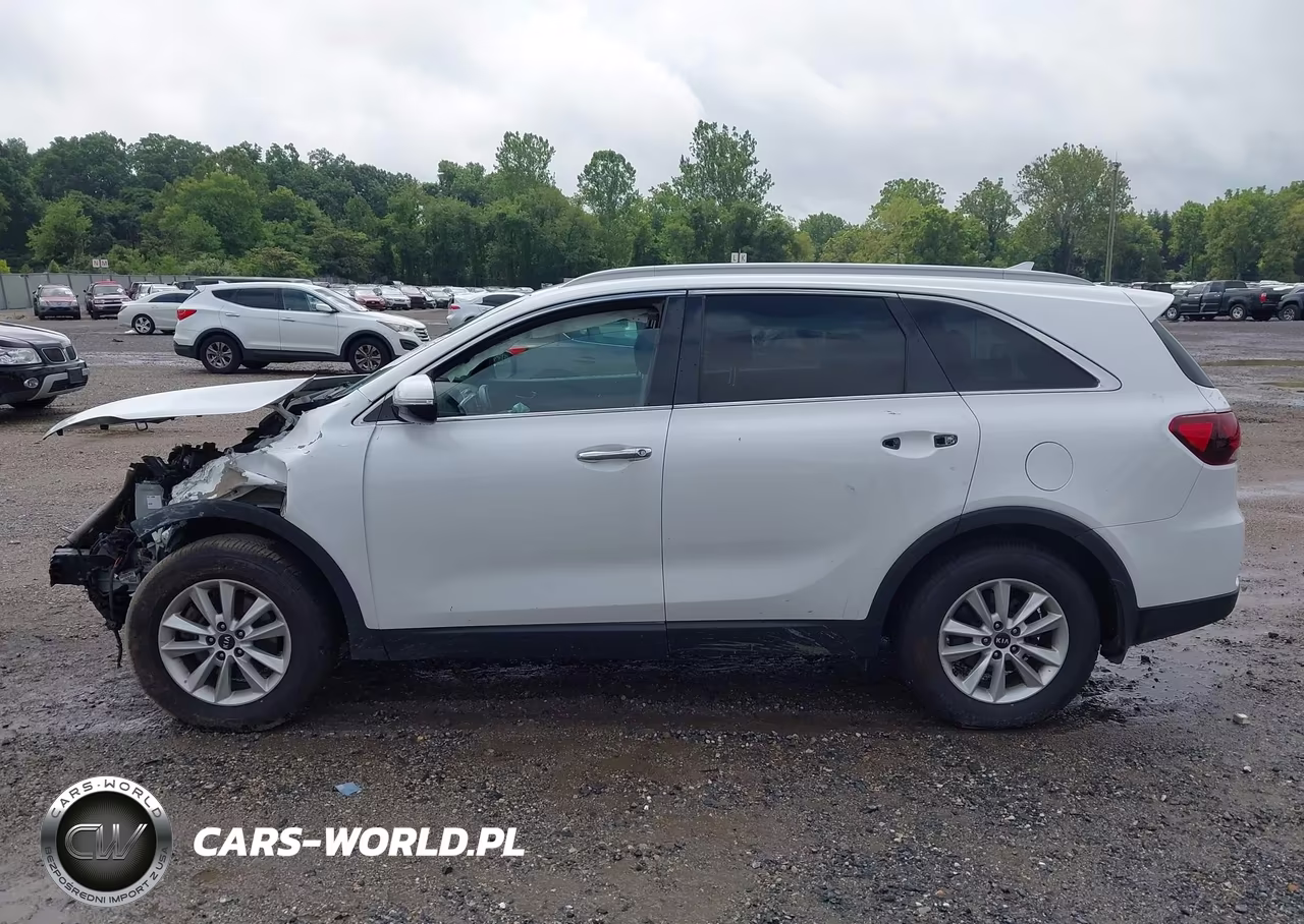 2019 Kia Sorento 2.4L Lx VIN:5XYPG4A32KG553871 - 15