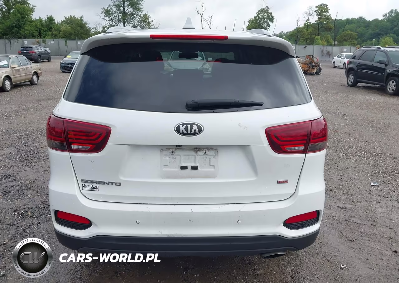 2019 Kia Sorento 2.4L Lx VIN:5XYPG4A32KG553871 - 17