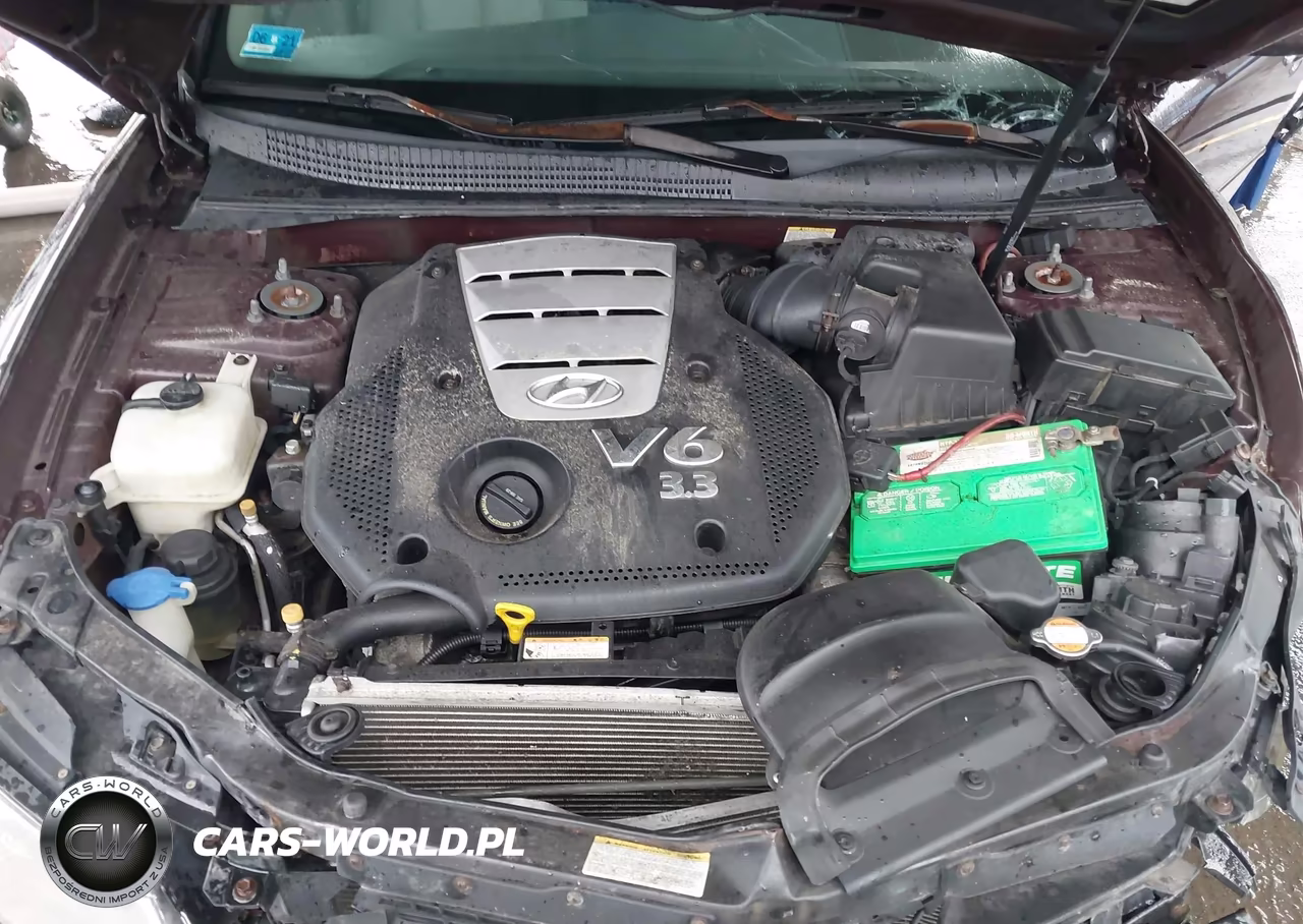 2006 Hyundai Sonata Gls V6-Lx V6 VIN:5NPEU46F36H069712 - 10