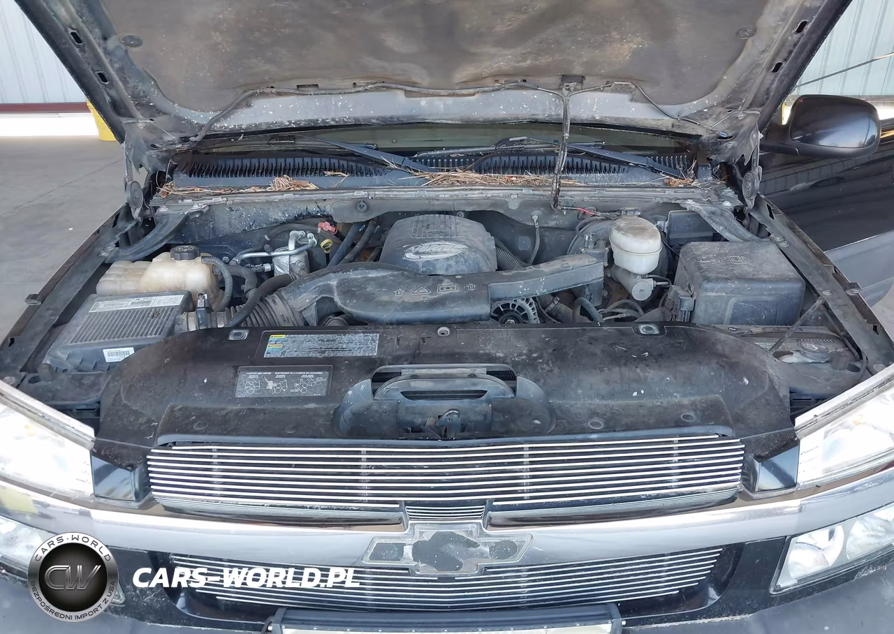 2003 Chevrolet Avalanche 1500 VIN:3GNEK13T13G340213 - 10