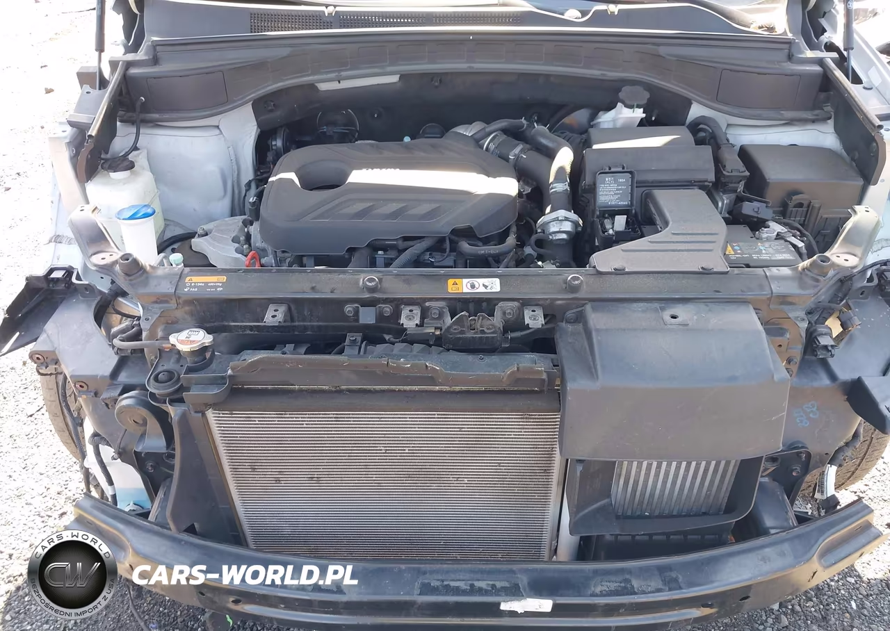 2017 Hyundai Santa Fe Sport 2.0T Ultimate VIN:5XYZWDLA0HG502045 - 10
