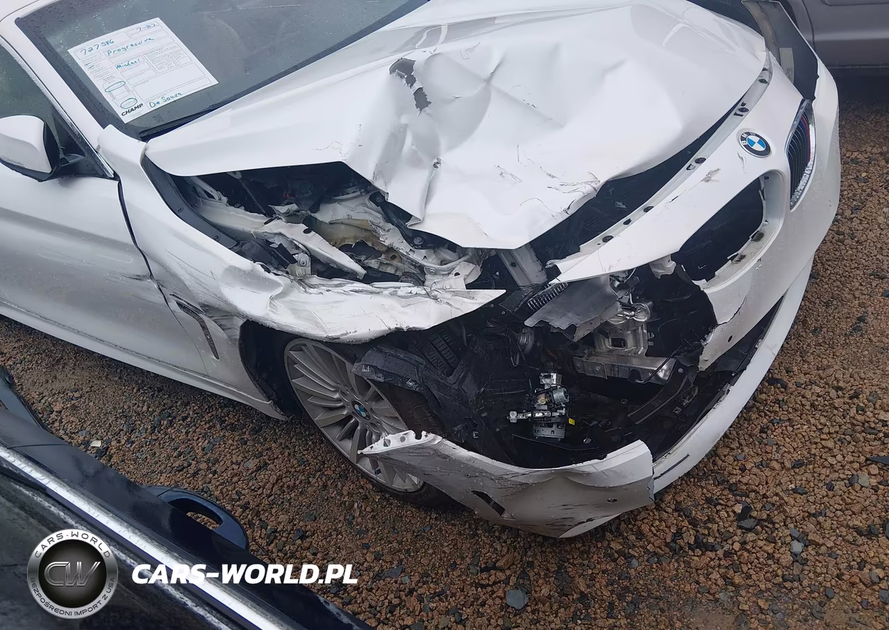 2016 BMW 428I VIN:WBA3V7C59G5A25782 - 17