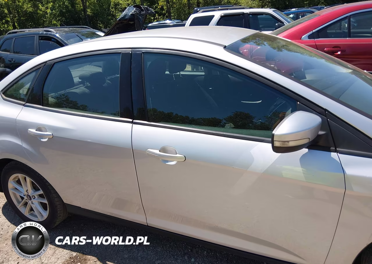 2016 Ford Focus Se VIN:1FADP3F20GL365848 - 13