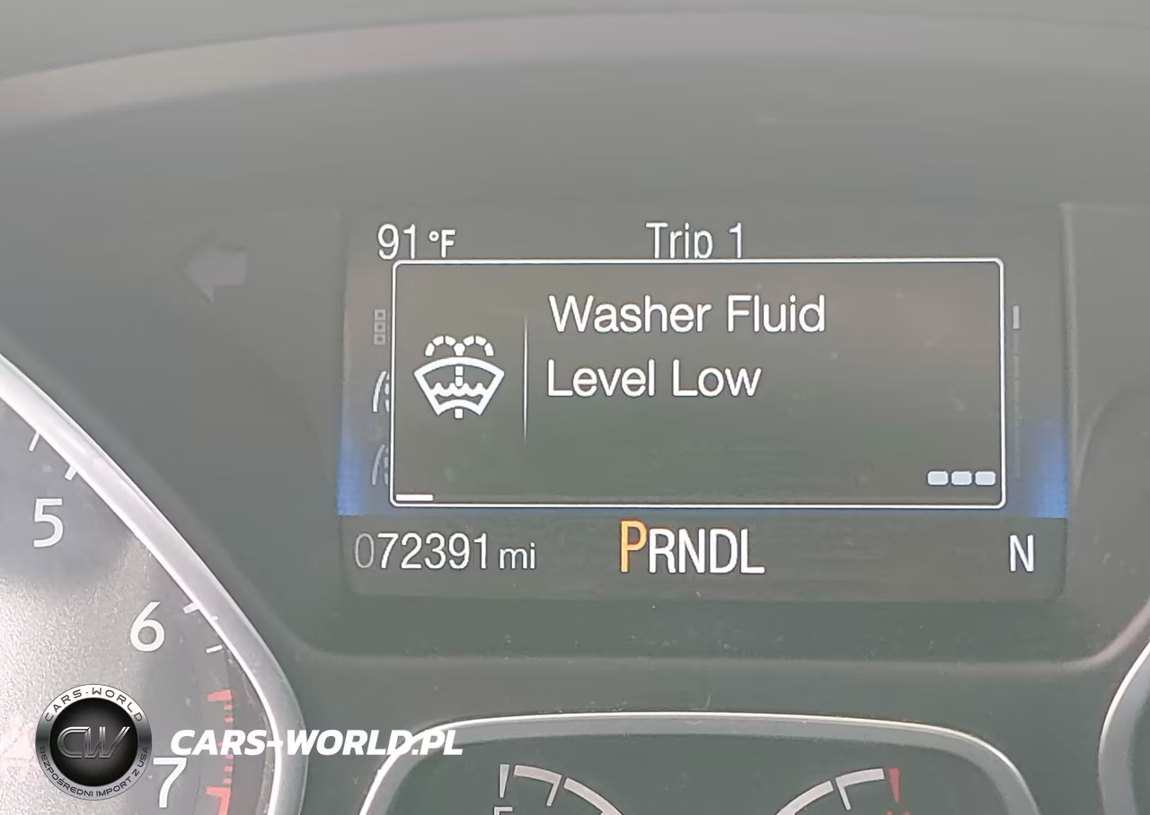 2016 Ford Focus Se VIN:1FADP3F20GL365848 - 15