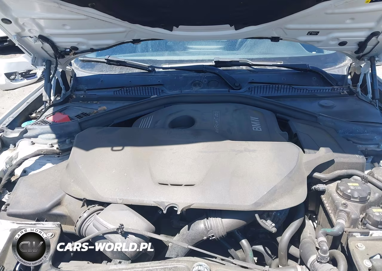 2018 BMW 230I VIN:WBA2J1C51JVD08950 - 10