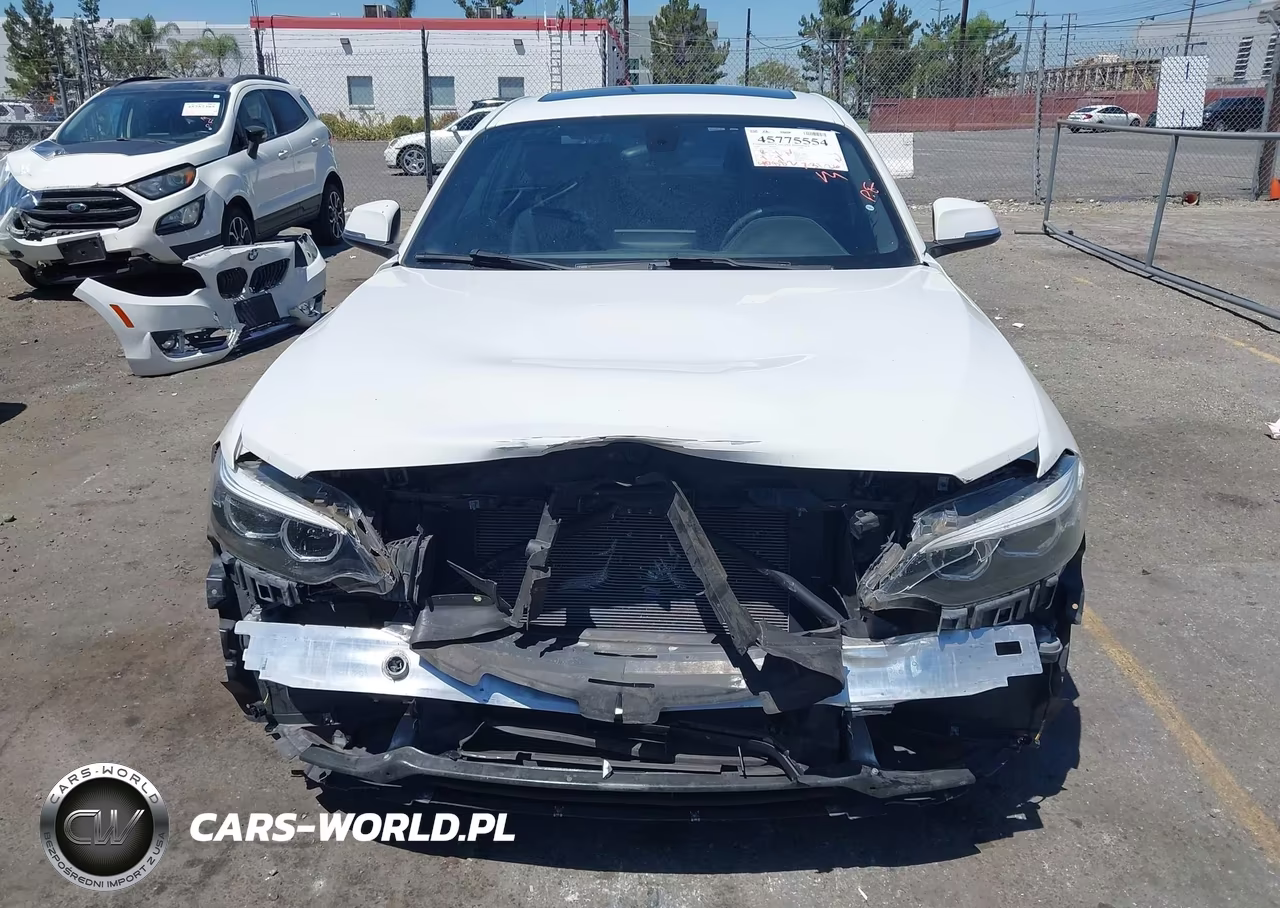 2018 BMW 230I VIN:WBA2J1C51JVD08950 - 13