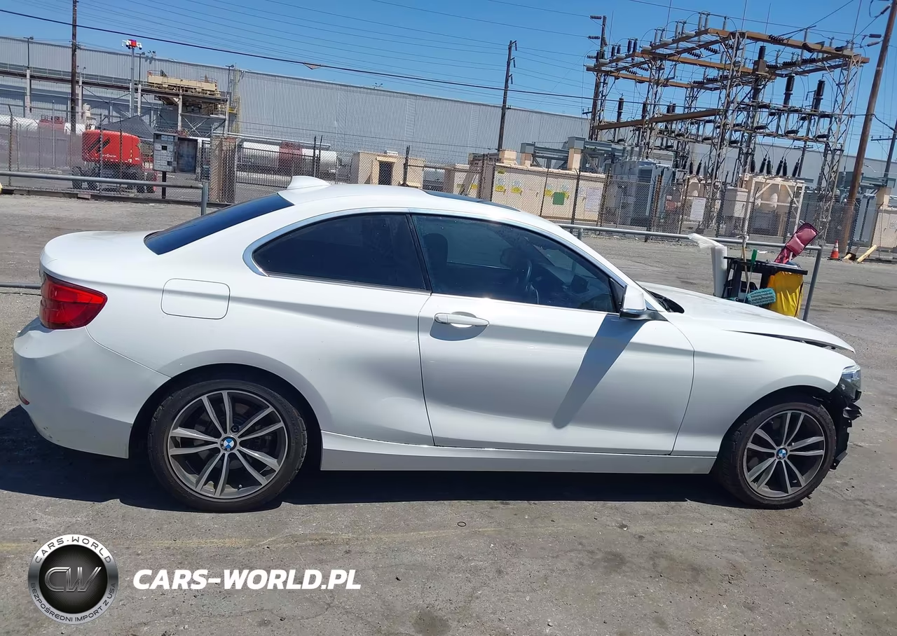2018 BMW 230I VIN:WBA2J1C51JVD08950 - 14