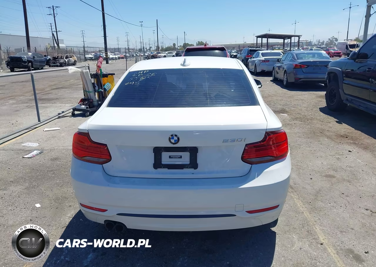2018 BMW 230I VIN:WBA2J1C51JVD08950 - 17