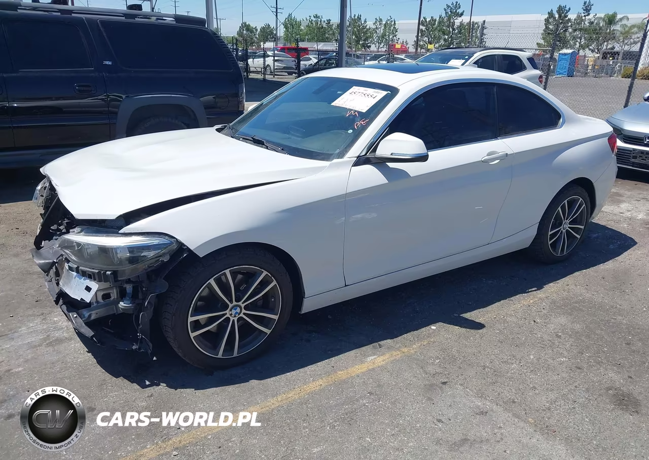 2018 BMW 230I VIN:WBA2J1C51JVD08950 - 2